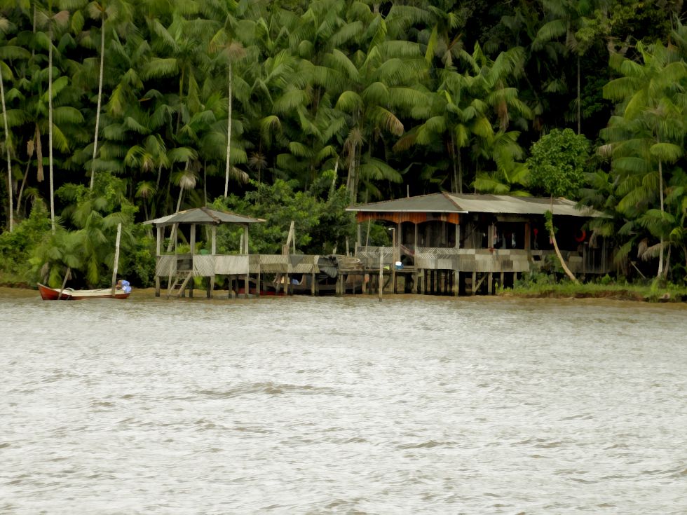Palafita na Baia do Guajará